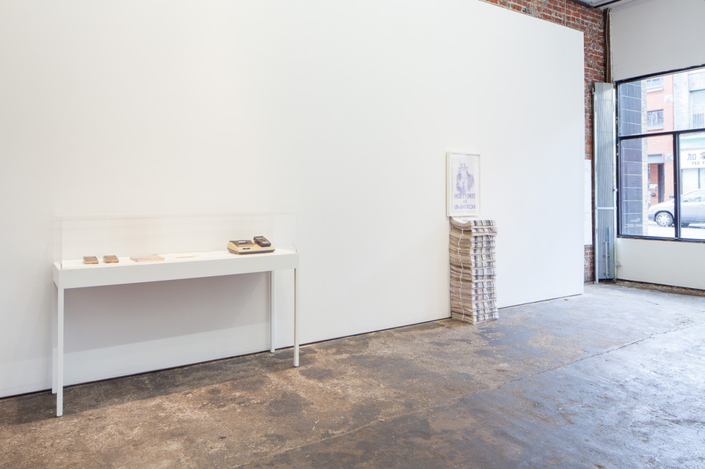 Brady Cranfield & Jamie Hilder,. Due to Injuries…. Installation view, 221A, 2013. Photo: Blaine Campbell.